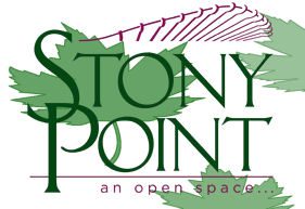 Stony Point Icon
